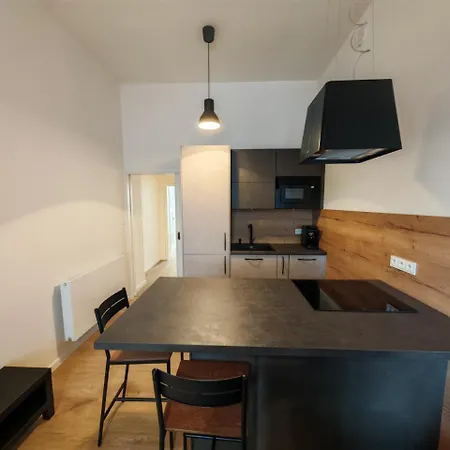 Modern 1br In Trendy Zizkov Lägenhet *